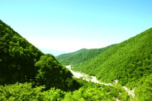 İsmayıllıda kənd təsərrüfatı üzrə əsas hədəflər açıqlanıb